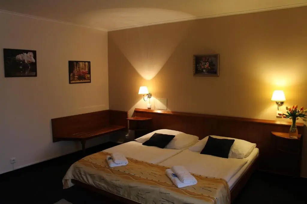 Zámecký hotel Zlatý Orel - Chambres
