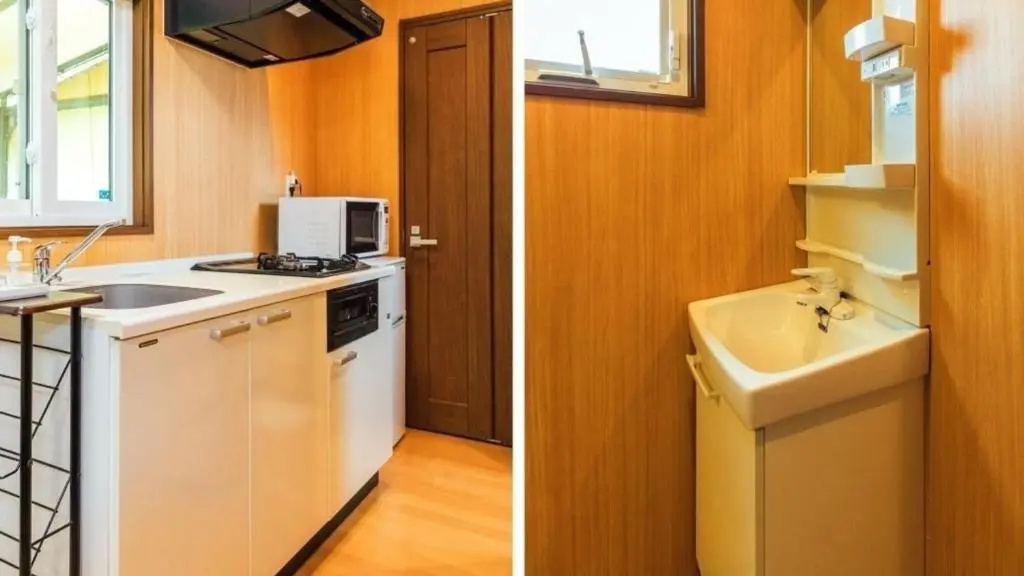 PICA Fuji Grinpa - фото 17