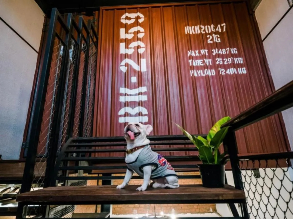 Hotel photo 17