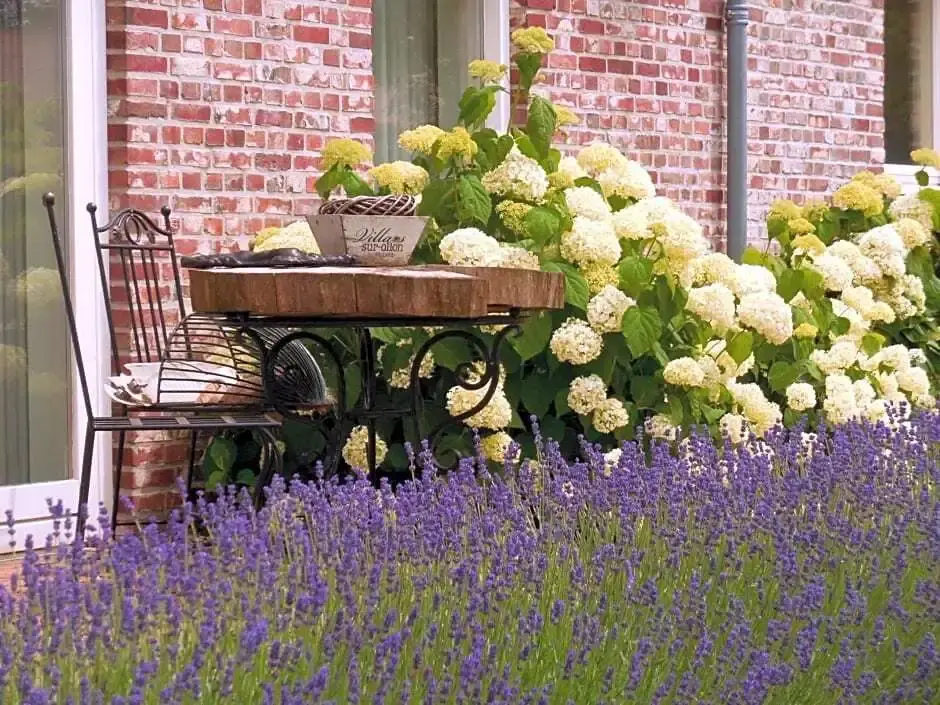 B&B De 7 Sprong - фото 6