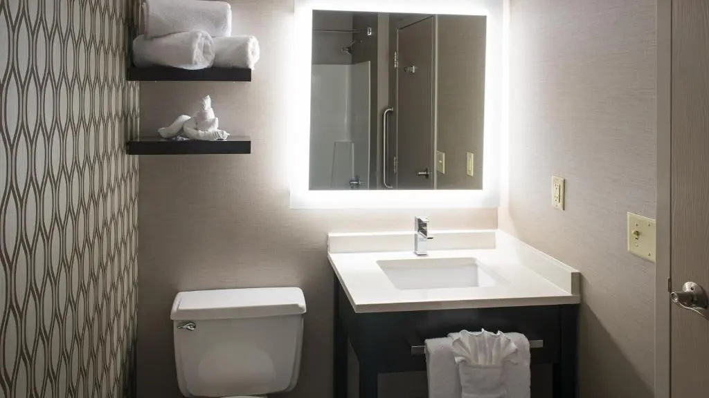 Holiday Inn St. Paul Downtown by IHG - Chambres