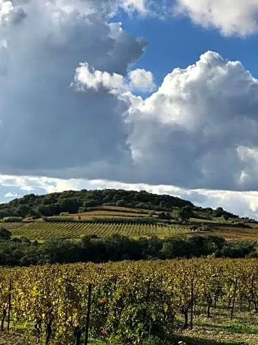 Domaine de Peilhan
