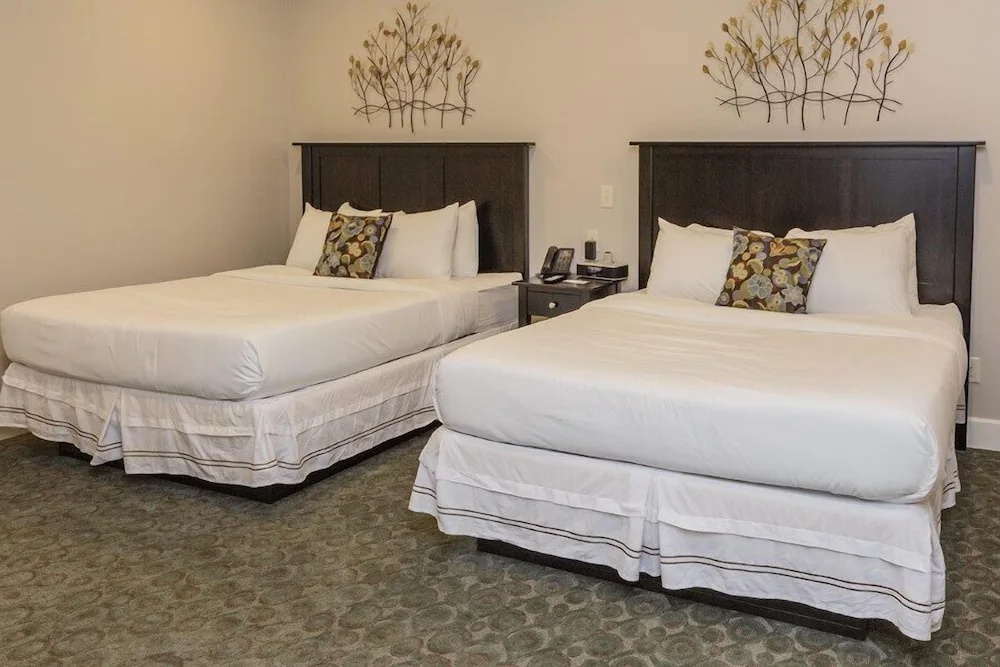 2 Bedrooms Double Suite (full double bed)