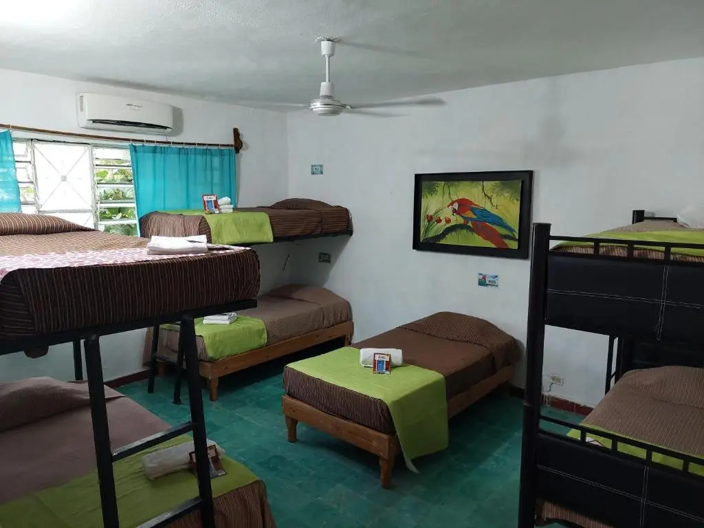 Bed in Dorm (female dorm)