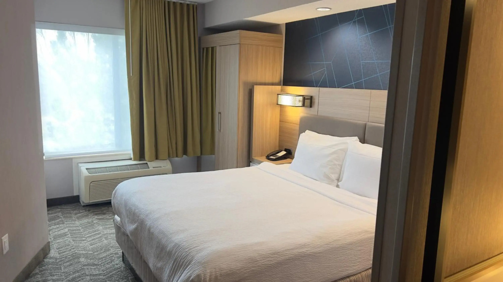 SpringHill Suites by Marriott Lansing - Général