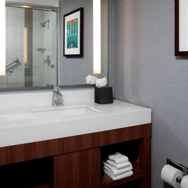 Hyatt Place New Orleans Convention Center - Général