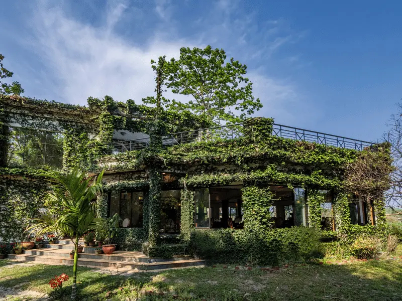 The Riverwood Forest Retreat- Dooars