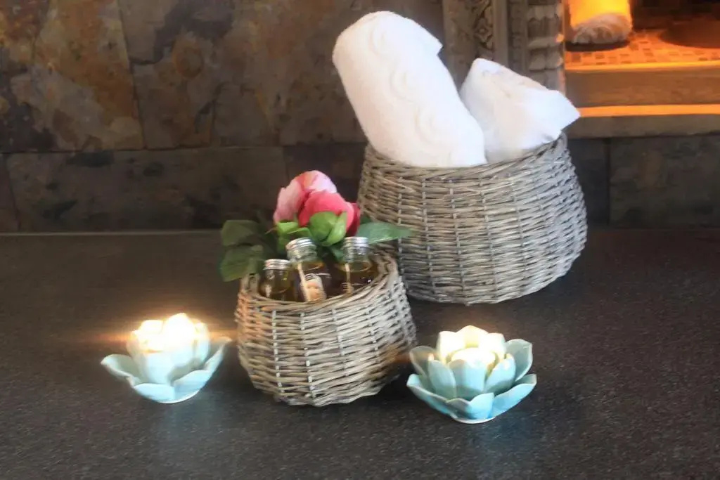 Hôtel et Spa Le Lion d'Or - Général