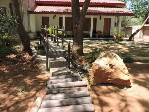 Teak Forest @ Kataragama