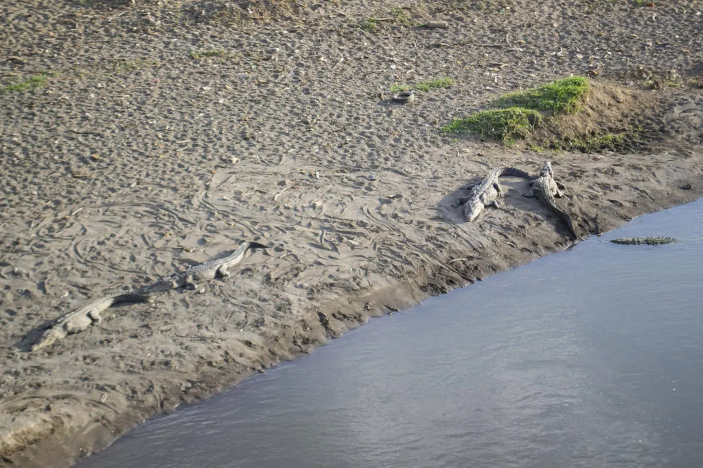 Hotel Cerro Lodge - фото 13