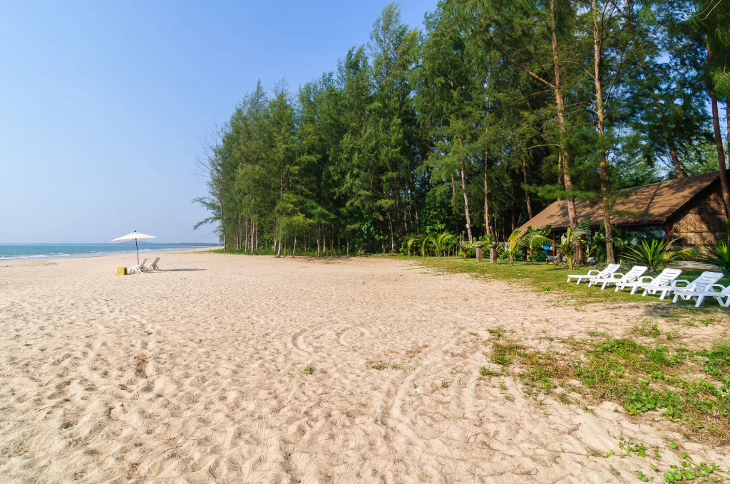 Beach & Waterfront