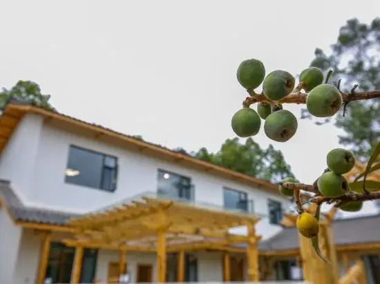 Mianyang orange courtyard home stay