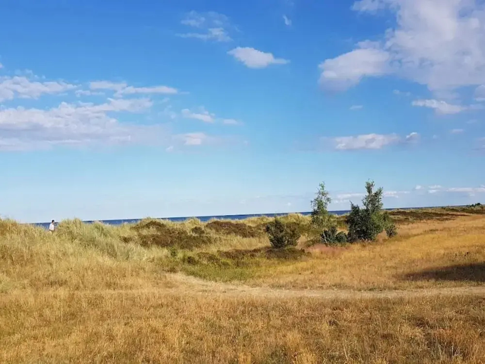 6 Person Holiday Home in Vaeggerlose