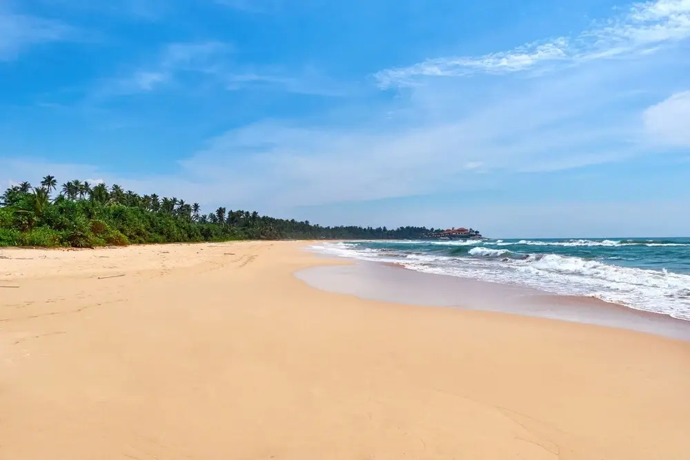 The Villa Bentota - фото 12