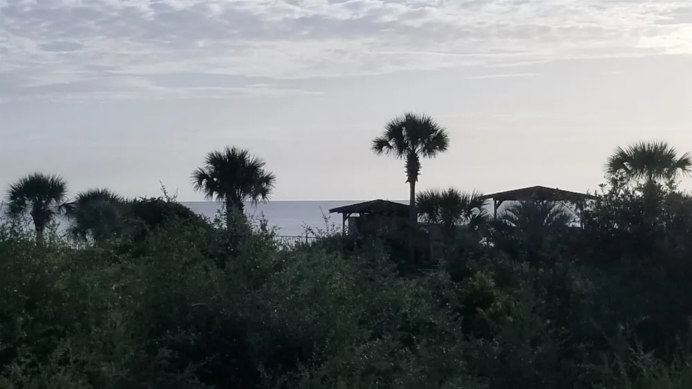 1149 Beachwalker