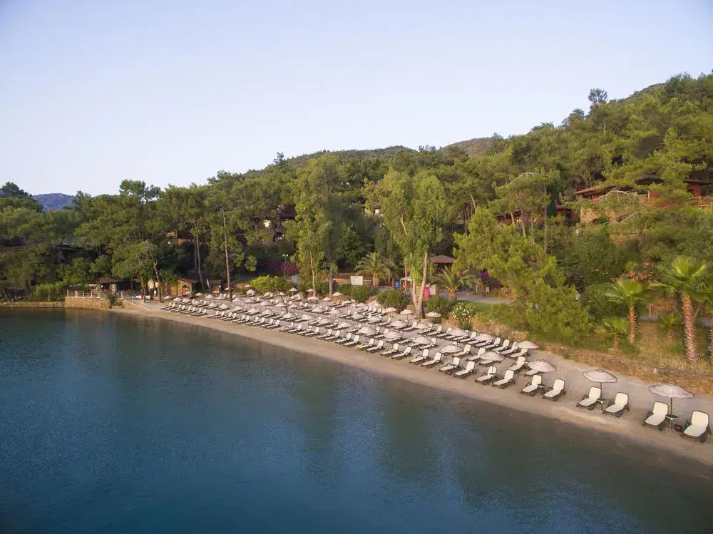 Beach & Waterfront