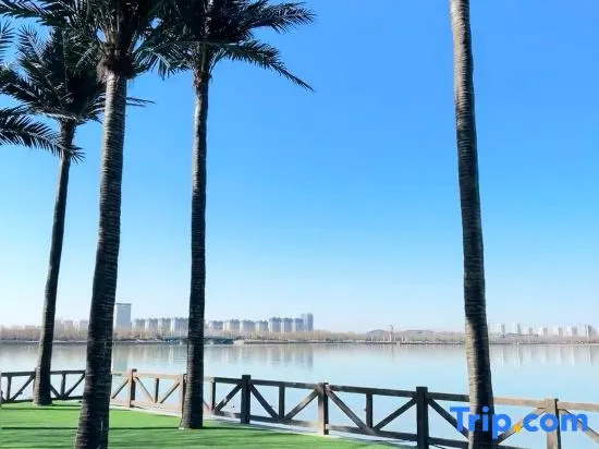 Beach & Waterfront