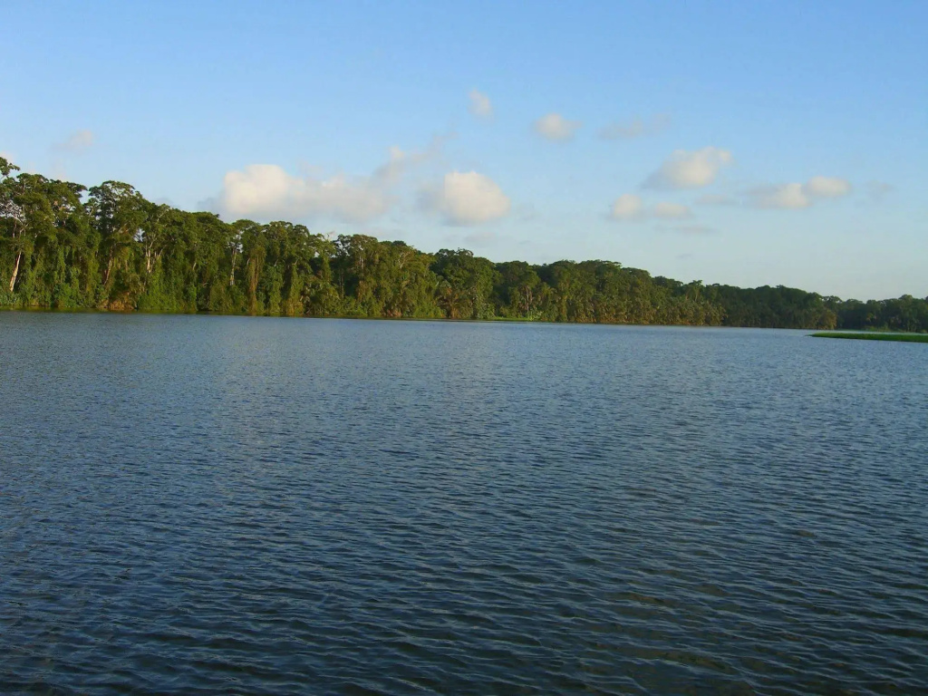 Lirio Lodge