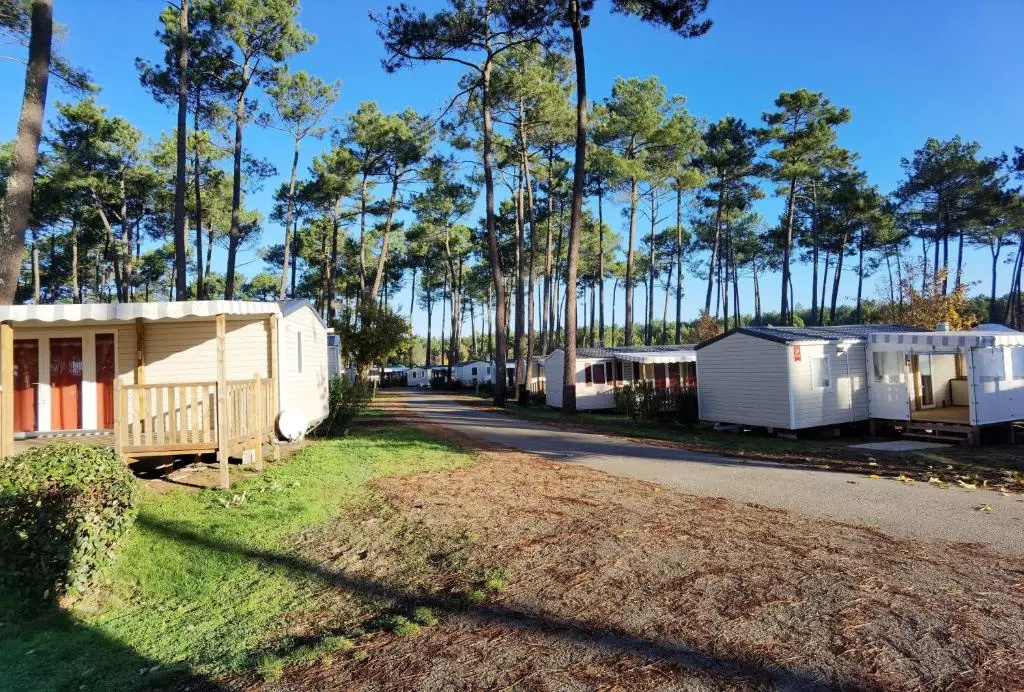 Afficher la photo 8 — Bungalow de 2 chambres avec piscine partagee jardin amenage et wifi a Saint Julien en Born a 4 km de la plage