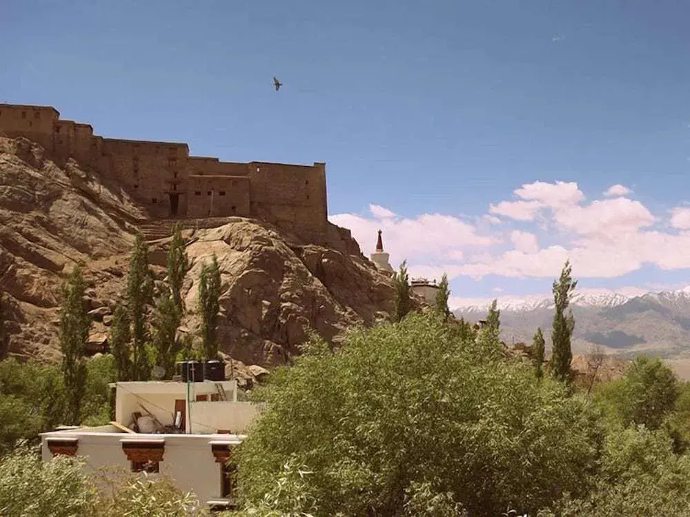 Hotel Himalaya Villa - Général