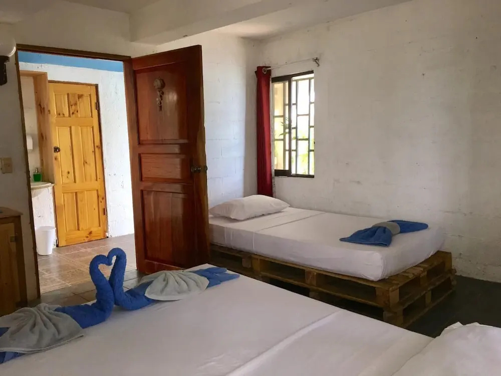 Hostal del Mar - фото 6