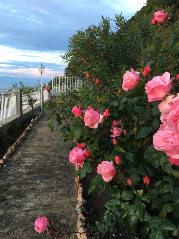 Belvedere Delle Rose