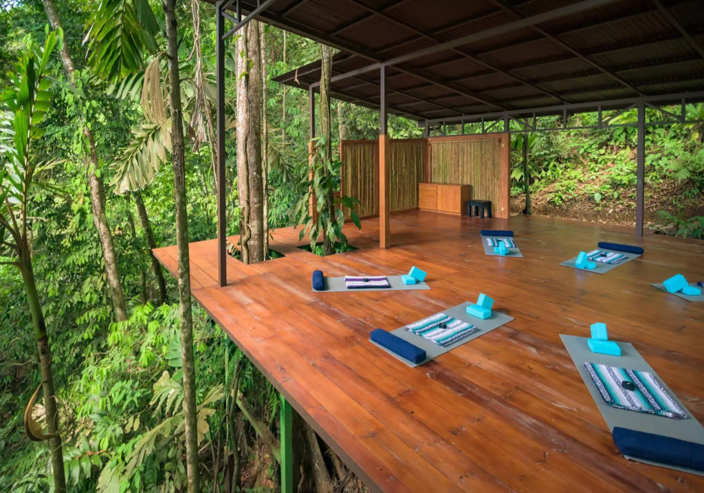 Vista Celestial - фото 16