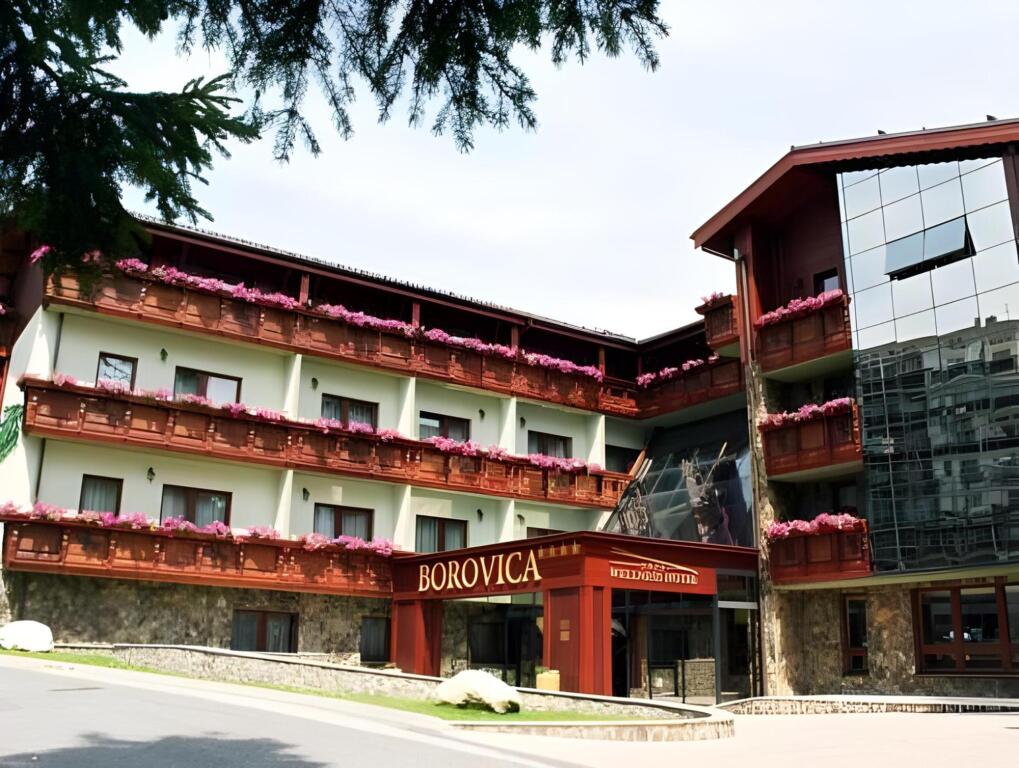 Wellness Hotel Borovica