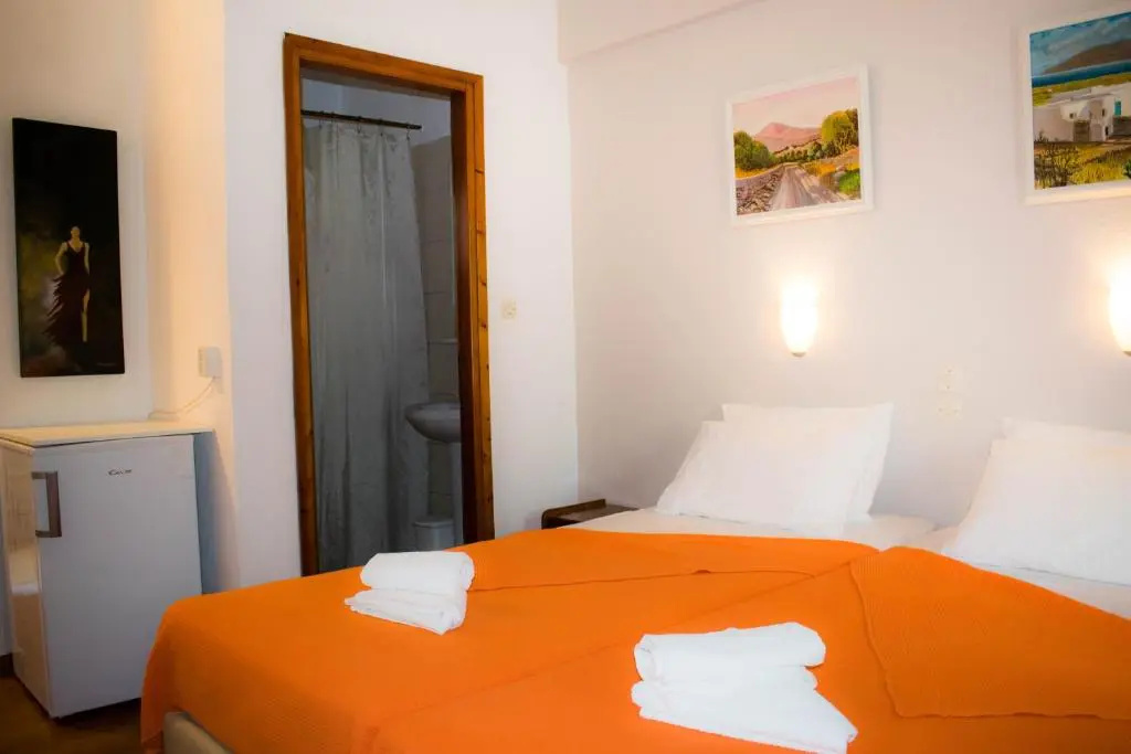 Standard Double room (twin beds)