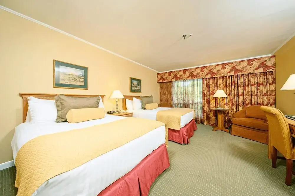 Hotel photo 10