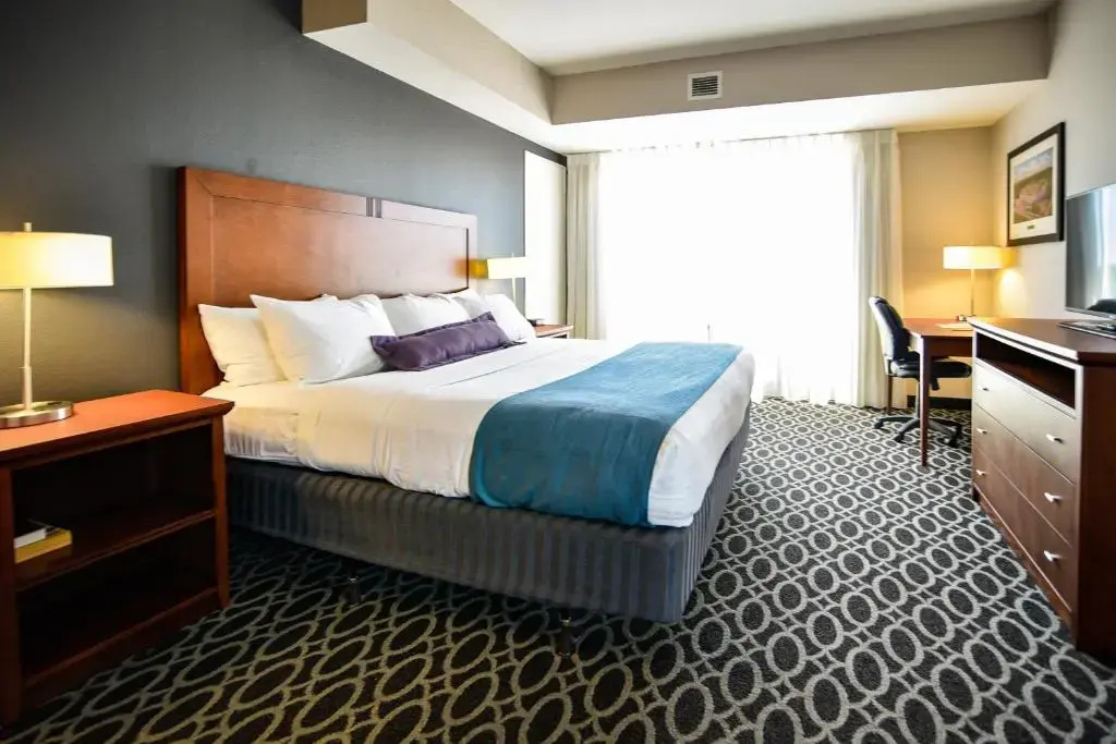 Bluemont Hotel - Chambres
