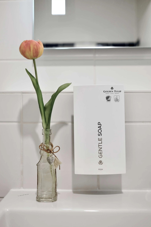 Tulip Inn Frankfurt Airport - Chambres