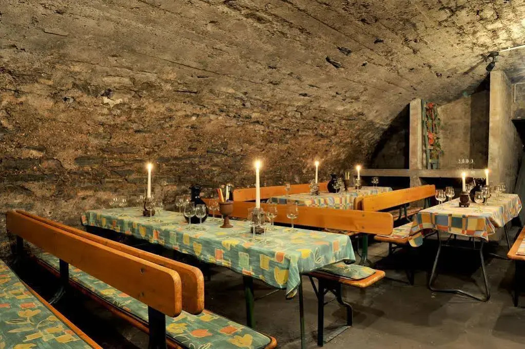 Winzerhotel zum Moselstrand - Général