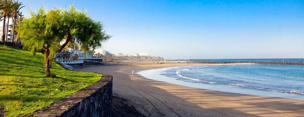 Playaflor Chill Out Resort, a 50 mtrs de la playa - Général