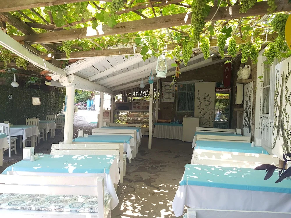 Assos Dr No Pansiyon