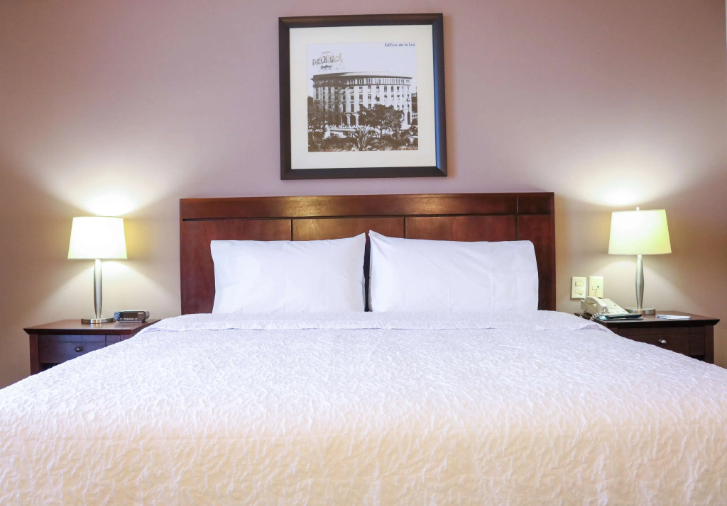 Hampton Inn By Hilton Tampico Zona Dorada - Général