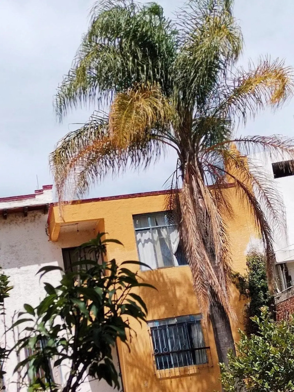 La Finca