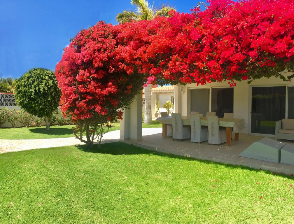 Villa Turquesa 3 Fuerteventura
