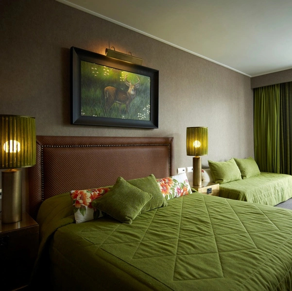 Hotel Du Lac Congress Center & Spa - Chambres