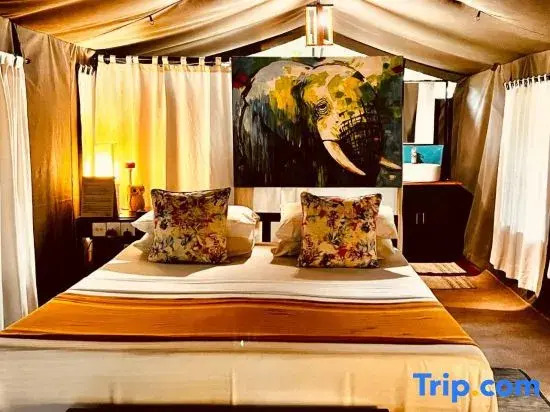 Mahoora Tented Safari Camp - Wilpattu