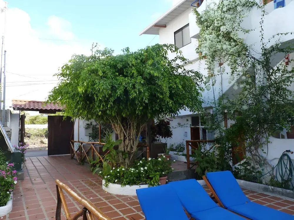 Hotel La Casa de Judy - Général