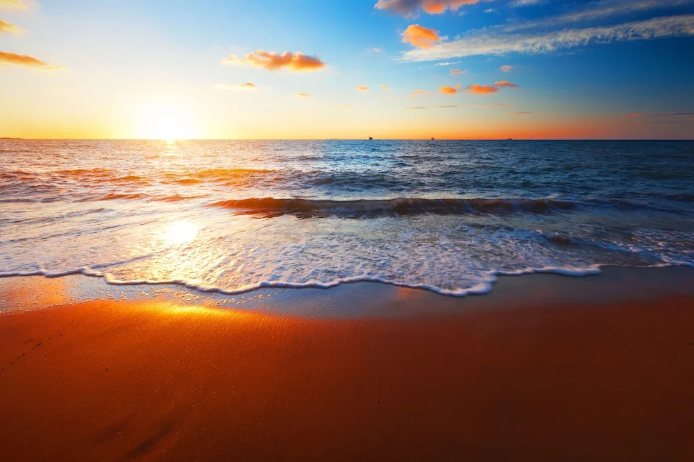 Beach & Waterfront