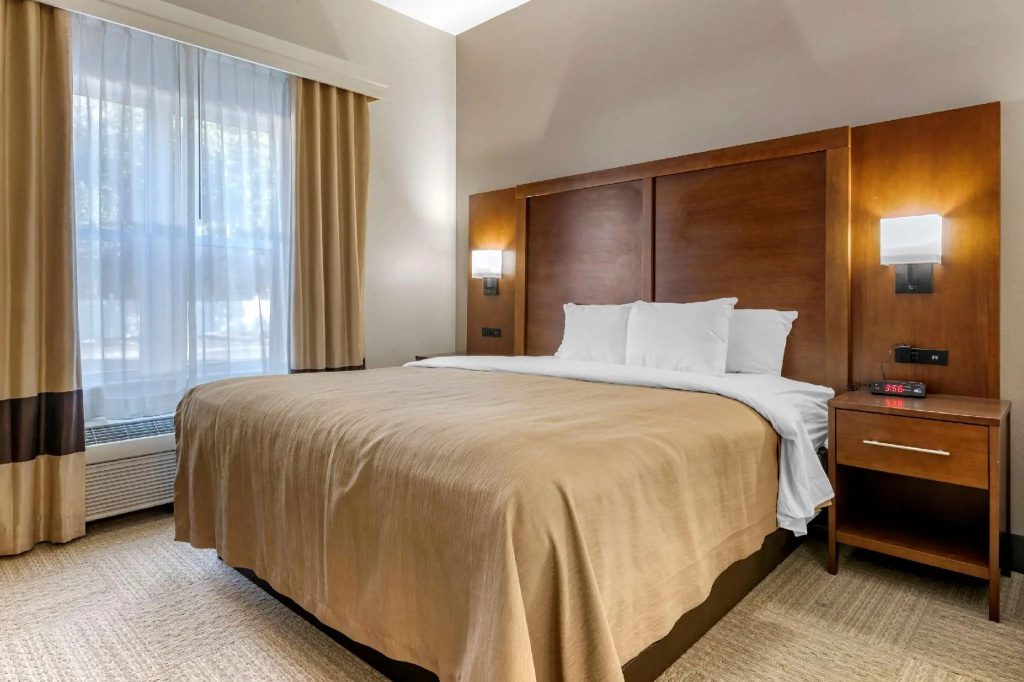 1 Bedroom Suite