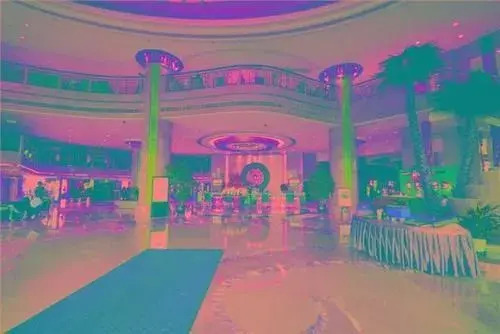 Jinke Grand Hotel - Chongqing - фото 18