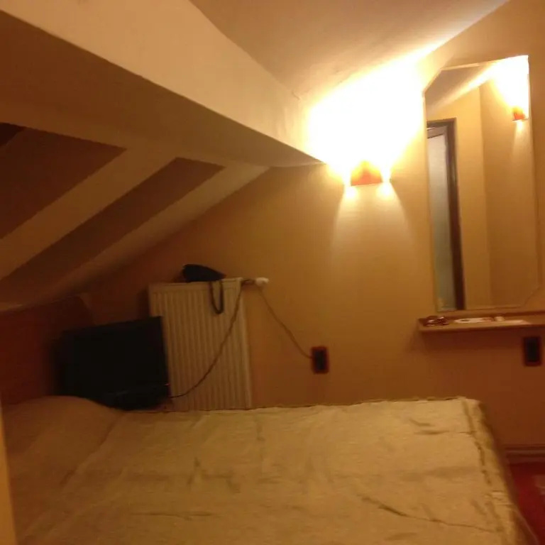 Family Hotel Silvestar - Chambres