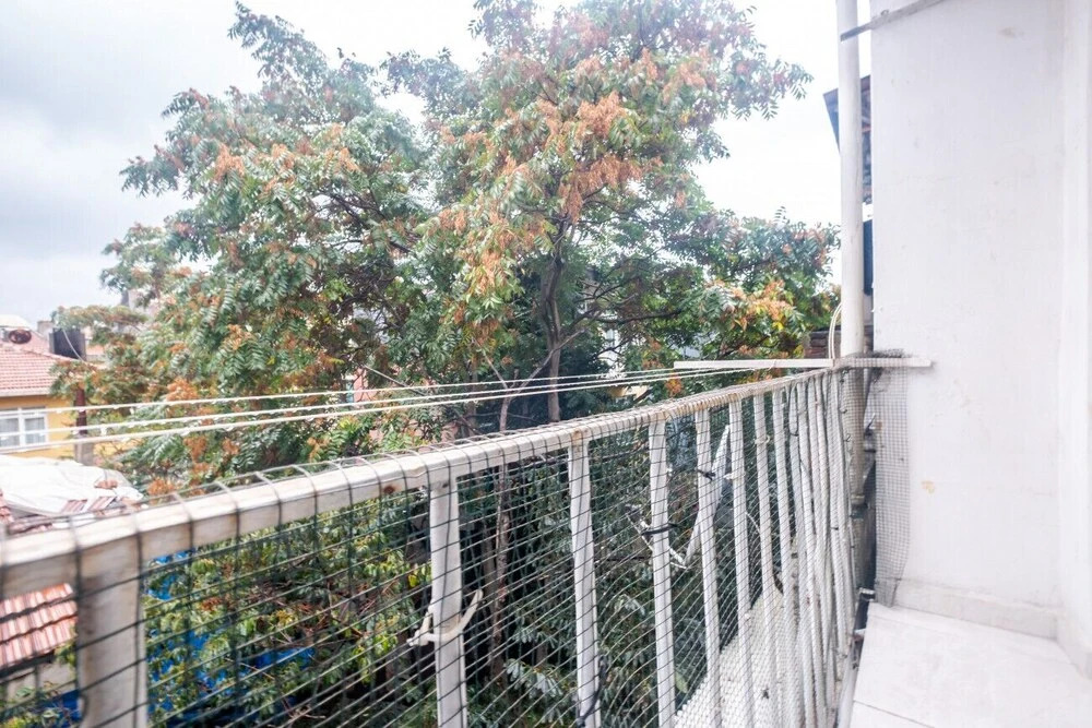 Image 12