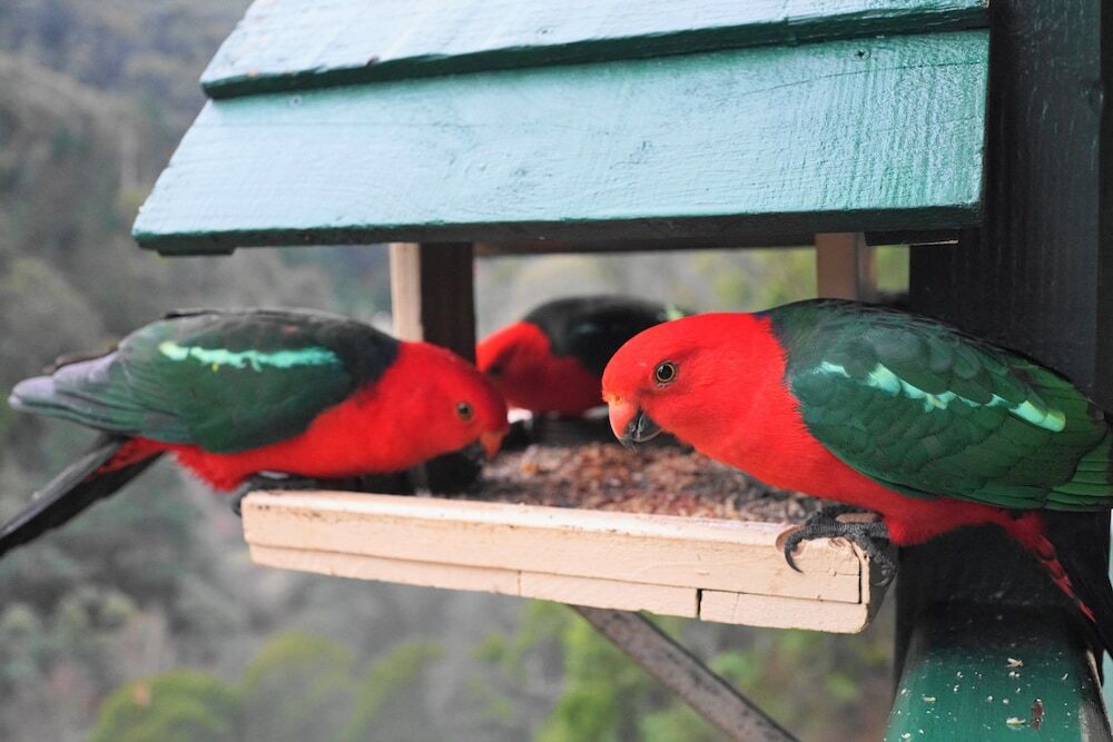 gallery_image_hidden_9