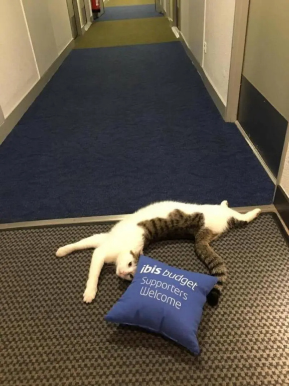 Voir la photo 4 — ibis budget Fécamp
