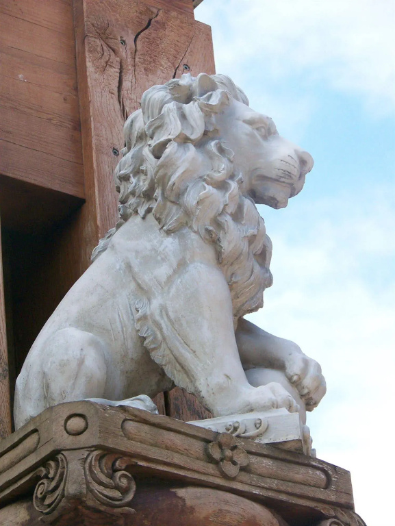 Hôtel et Spa Le Lion d'Or - Général