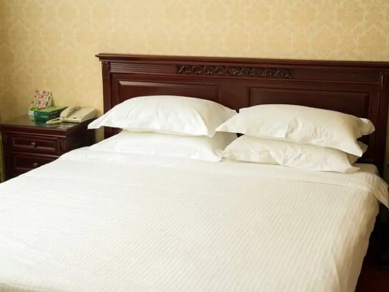GreenTree Inn Anhui Fuyang Funan East Huaihe Road Express Hotel - Chambres